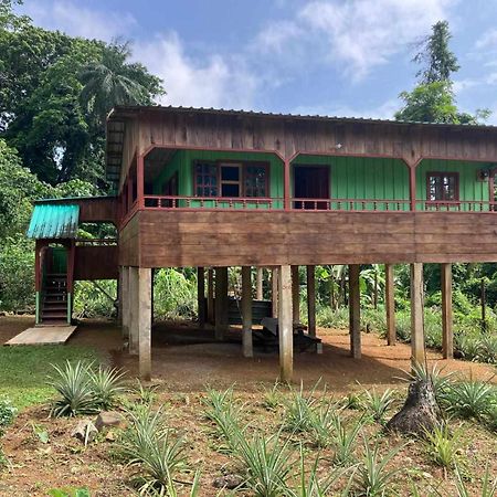 Casas Salomao 호텔 Santo António 외부 사진