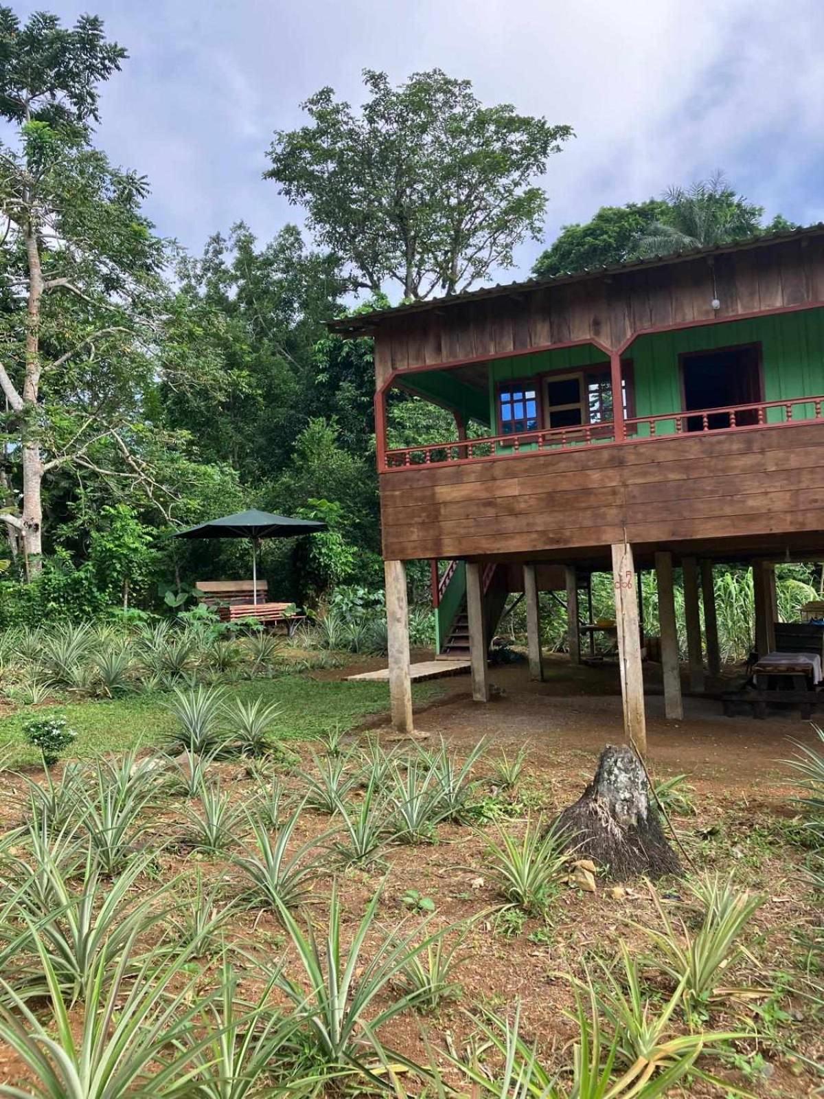 Casas Salomao 호텔 Santo António 외부 사진