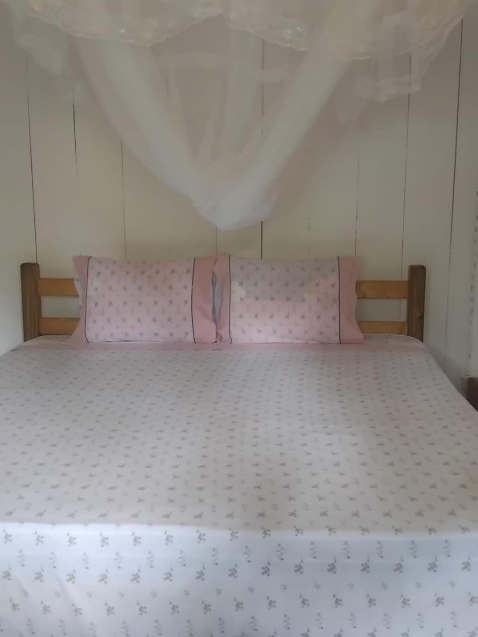 Casas Salomao 호텔 Santo António 외부 사진